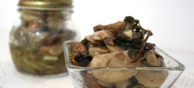 Pickled Umbrella Mushrooms