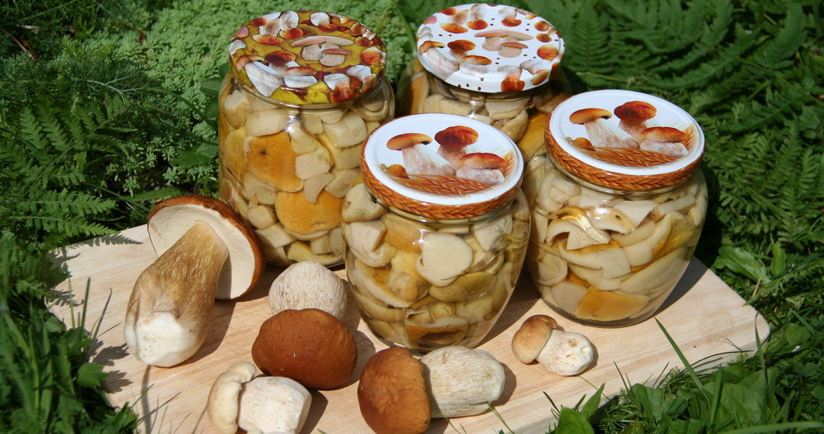 Porcini gljive