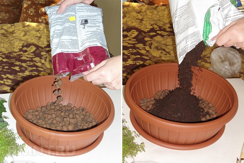 Layers of Drainage and Soil