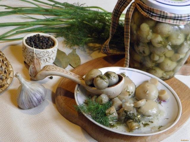 Champignons with garlic