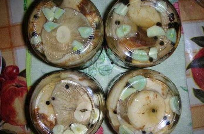 Hot salted breasts