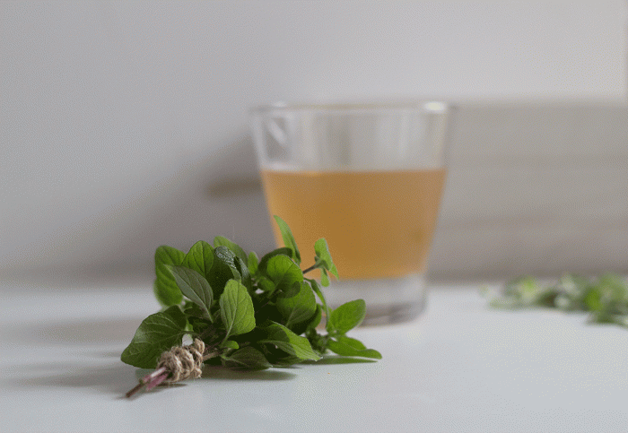 Kombucha Biljni