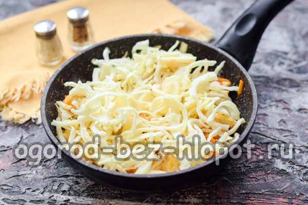 add cabbage