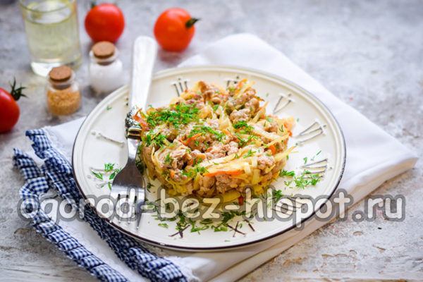 delicious stewed cabbage with minced meat