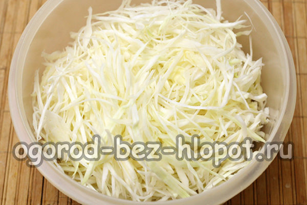 chop cabbage