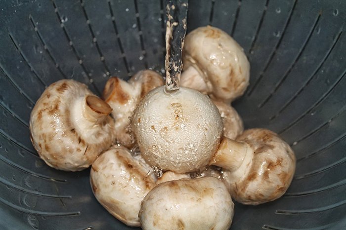 Mushroom washing