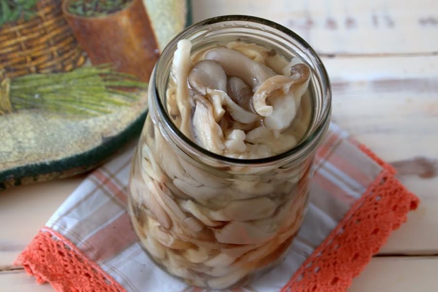 Pickled oyster mushrooms