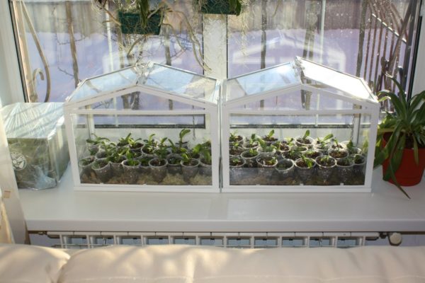 For the balcony