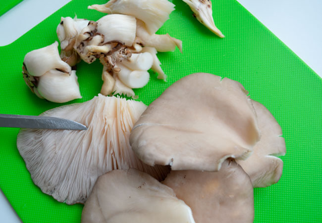 Mushroom processing