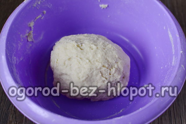 knead the dough