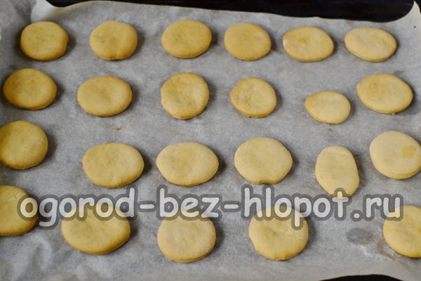 bake until golden brown