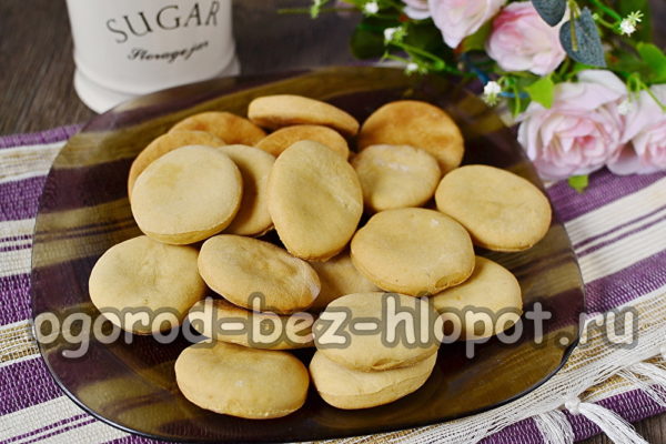 cookies on cucumber pickle ready