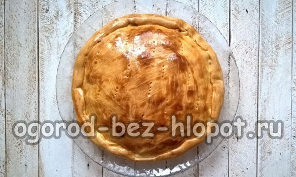 gotova pita od kupusa