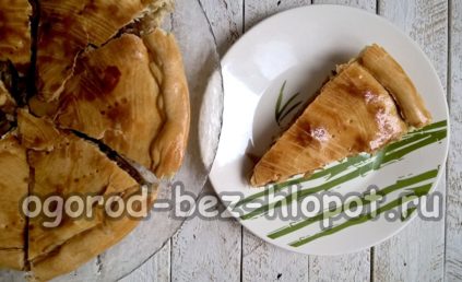 pita s kupusom i jajetom