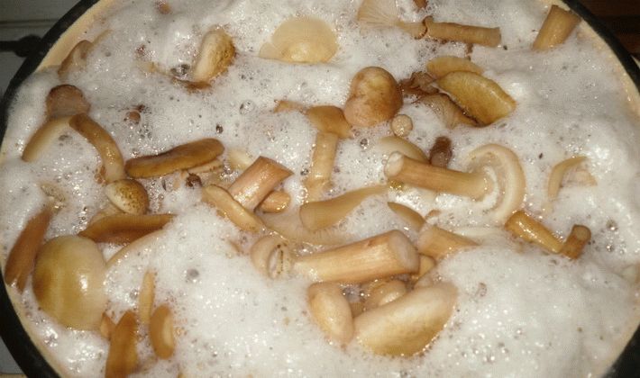 Cooking process