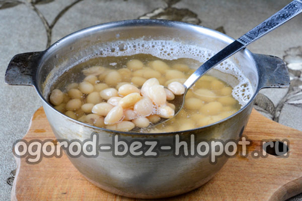 boil the beans
