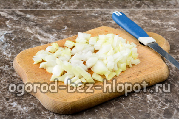 chopped onion
