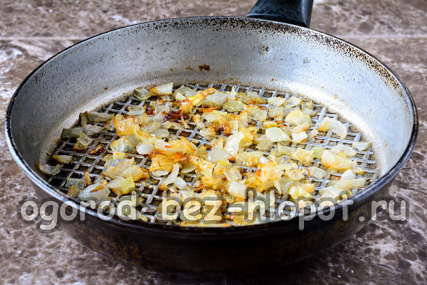 fry the onions
