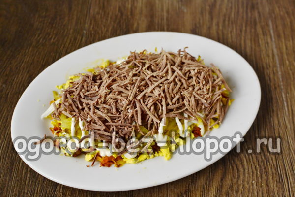 layer of the liver