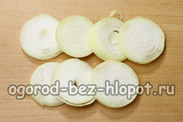 chopped onion rings