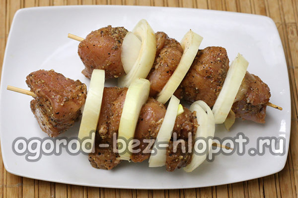 string meat and onions on skewers