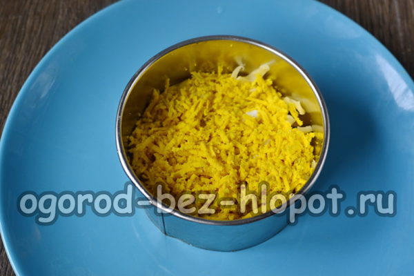 egg yolk layer