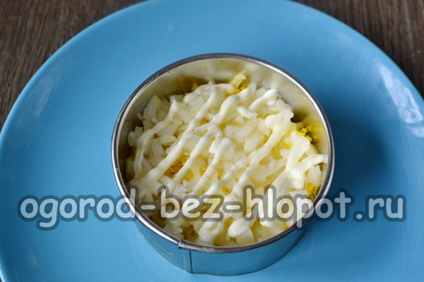 layer of pickled onions