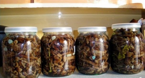 Salted honey mushrooms