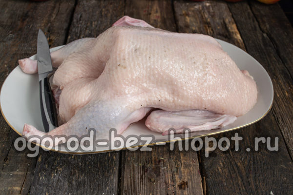 duck carcass