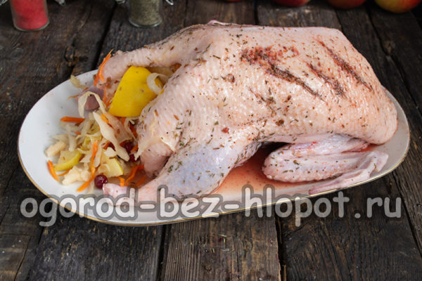 stuff duck with cabbage and quince