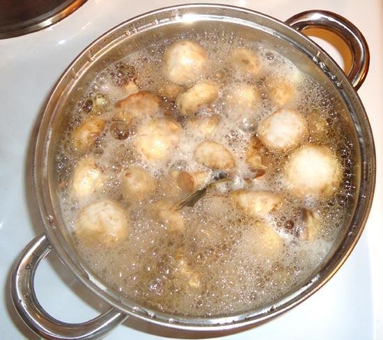 Worm mushroom processing