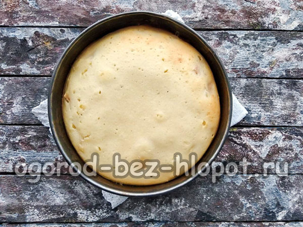 pita je spremna