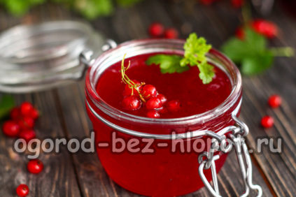 žele crvene ribizle
