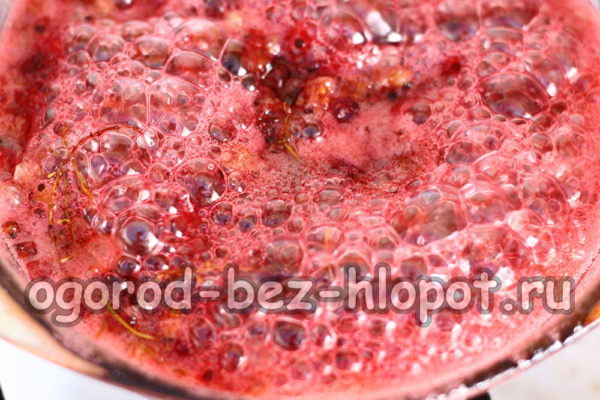 boil currants