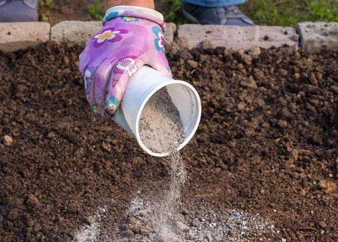 Wood Ash Fertilizer