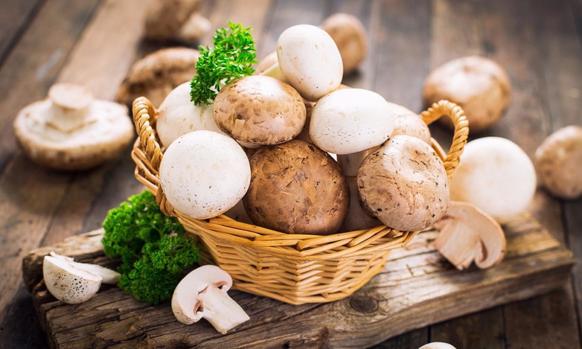 Champignons