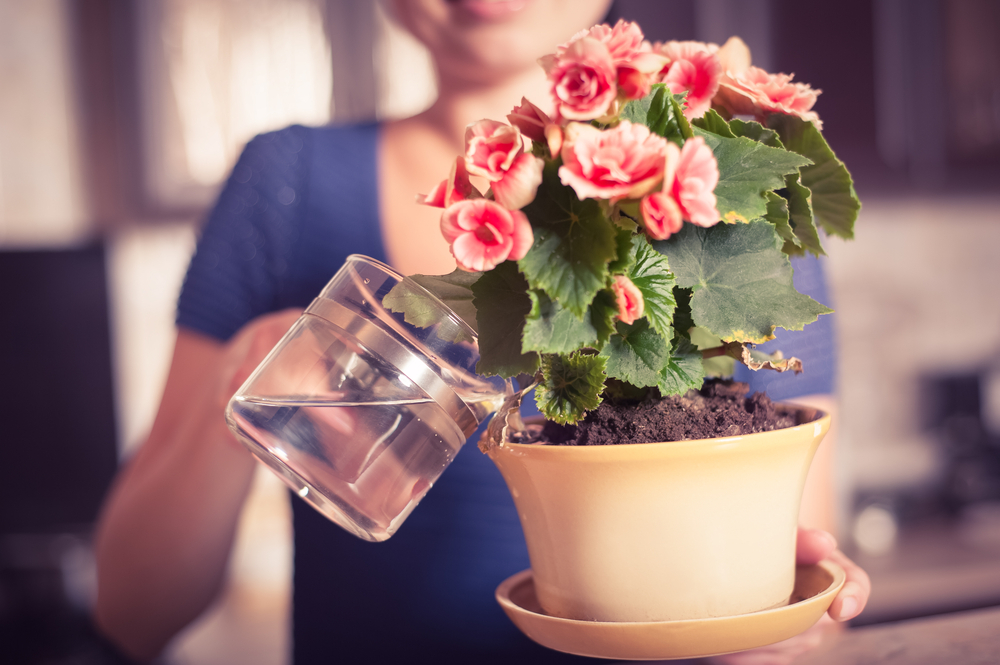 Watering