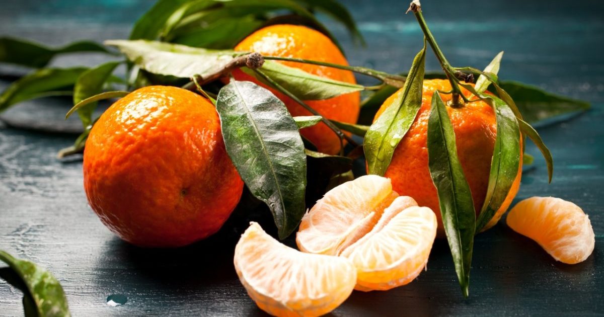 Naranča od mandarine
