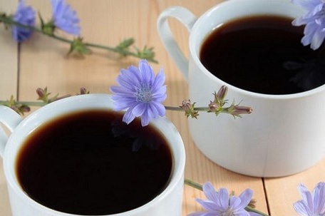 Chicory