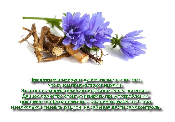Chicory for diabetes
