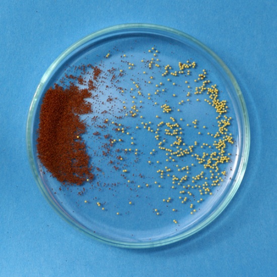 Granular seeds