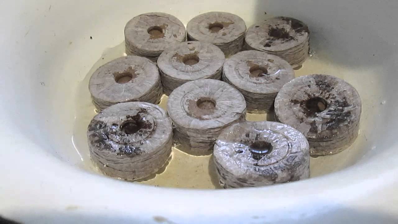 Peat tablets