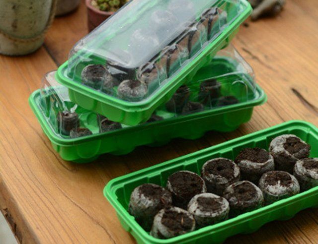 Pills in container