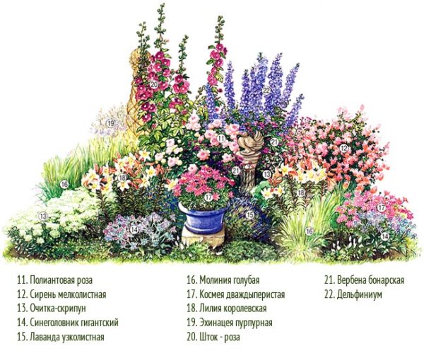 flower garden scheme
