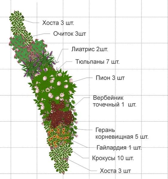 flower garden until late autumn