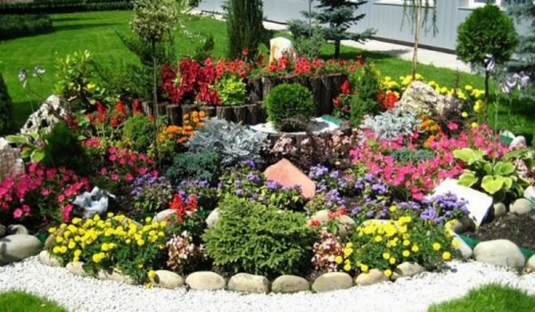flower garden until late autumn