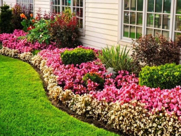 flower beds in the country with your own hands