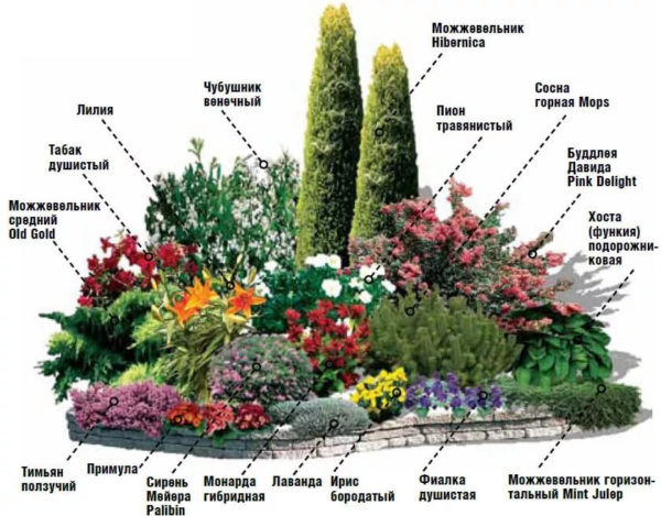 flower garden until late autumn