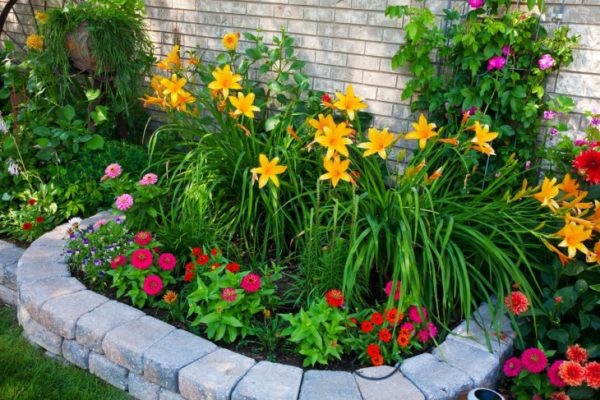 flower beds in the country with your own hands
