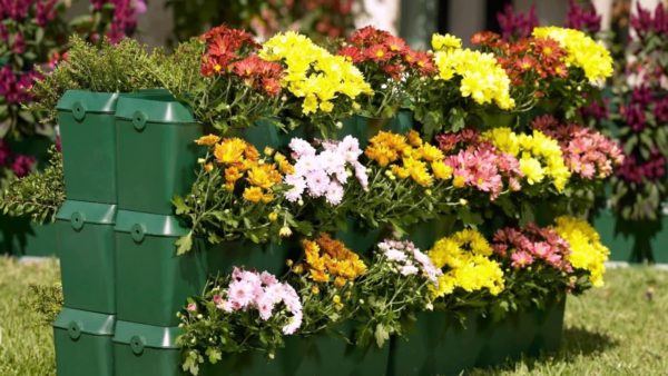 flower beds in the country